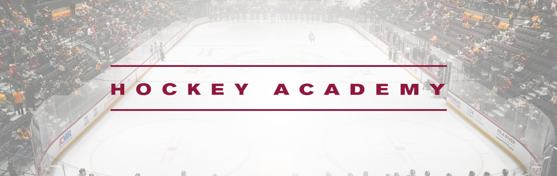 Sun Devil Hockey Academy